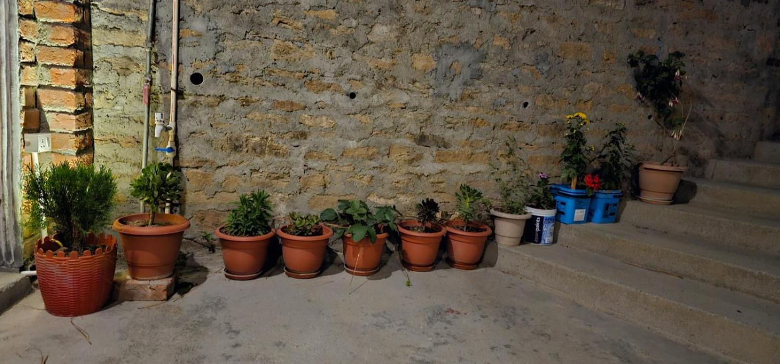 Golden Himalaya Homestay Kausani